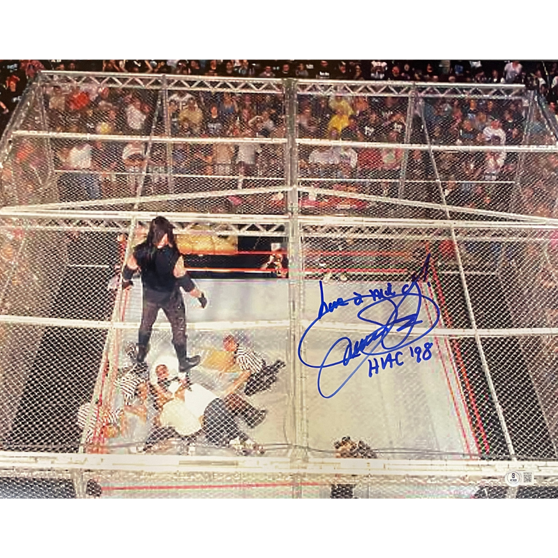 Mick Foley Autographed Hell In A Cell 16x20 Photo Autographs FanHQ   