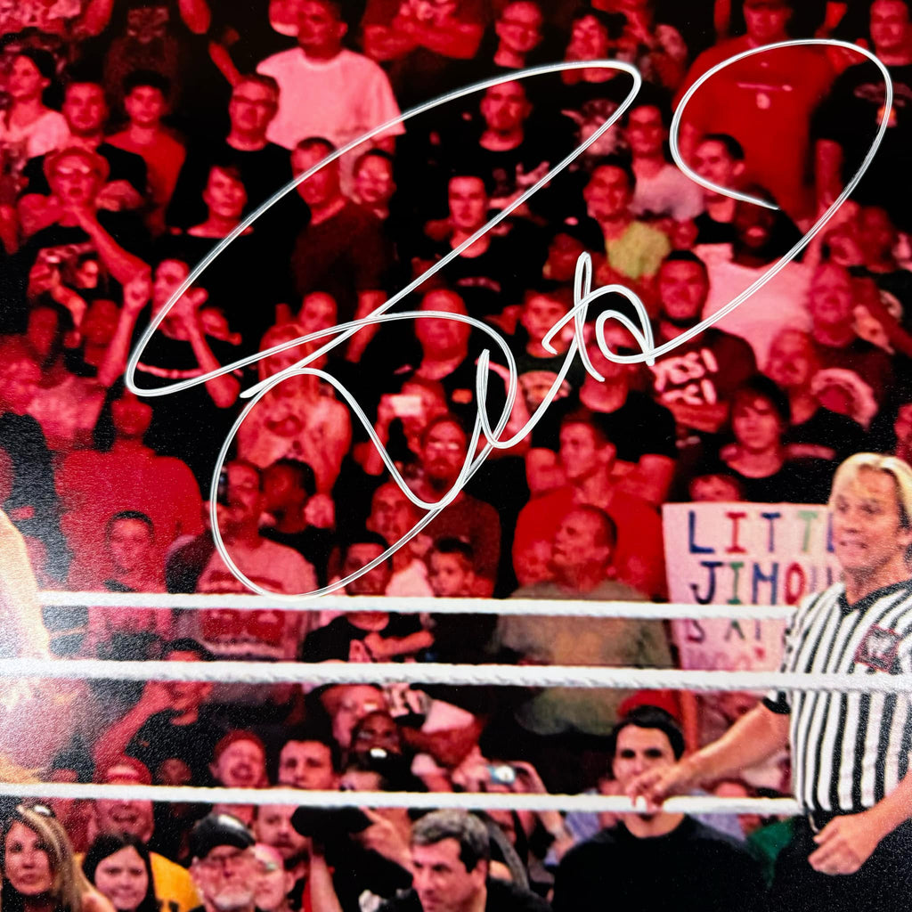 LITA Amy Dumas Autographed 16x20 Action Photo Autographs FanHQ   