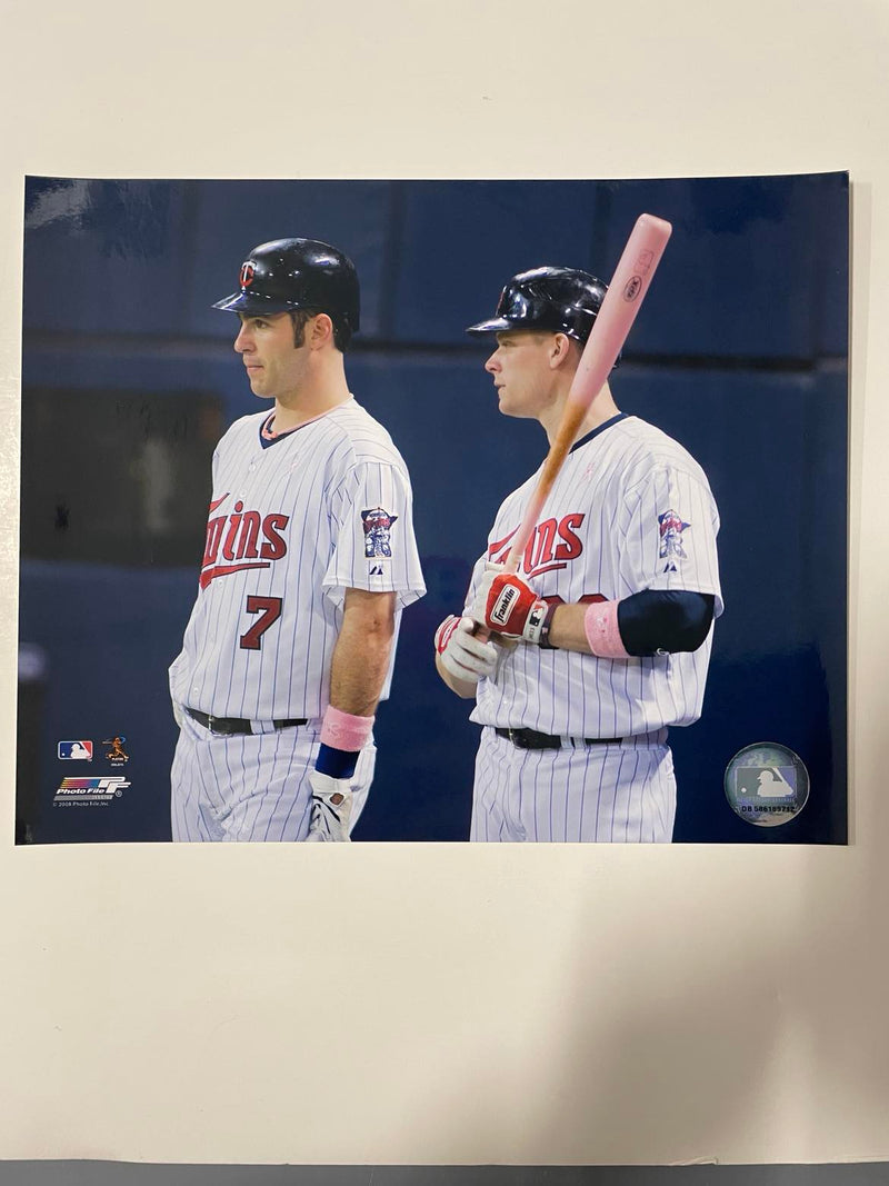 Assorted Minnesota Twins Unsigned 8x10 Photos (Multiple To Choose From)