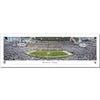 Minnesota Vikings Whiteout Panoramic Picture (Shipped) Collectibles Blakeway Unframed (Tubed)  